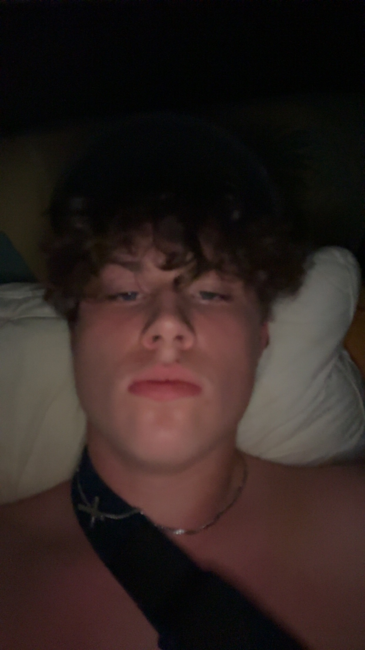 IMG 0254