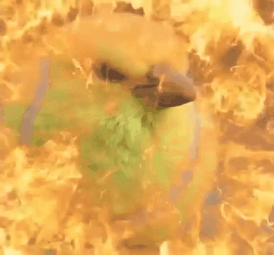 GIF 20240902 211417 734