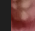 1725463028786