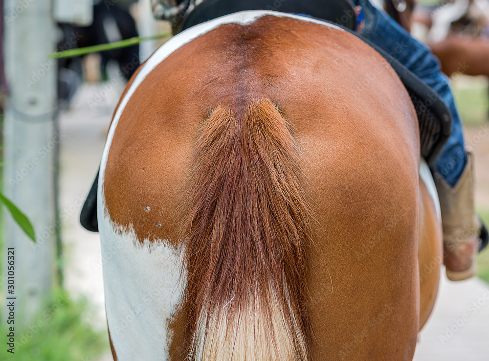 1000 F 301056321 DAYYzSEd9n4471CmylhHnCd4s64kM7sP