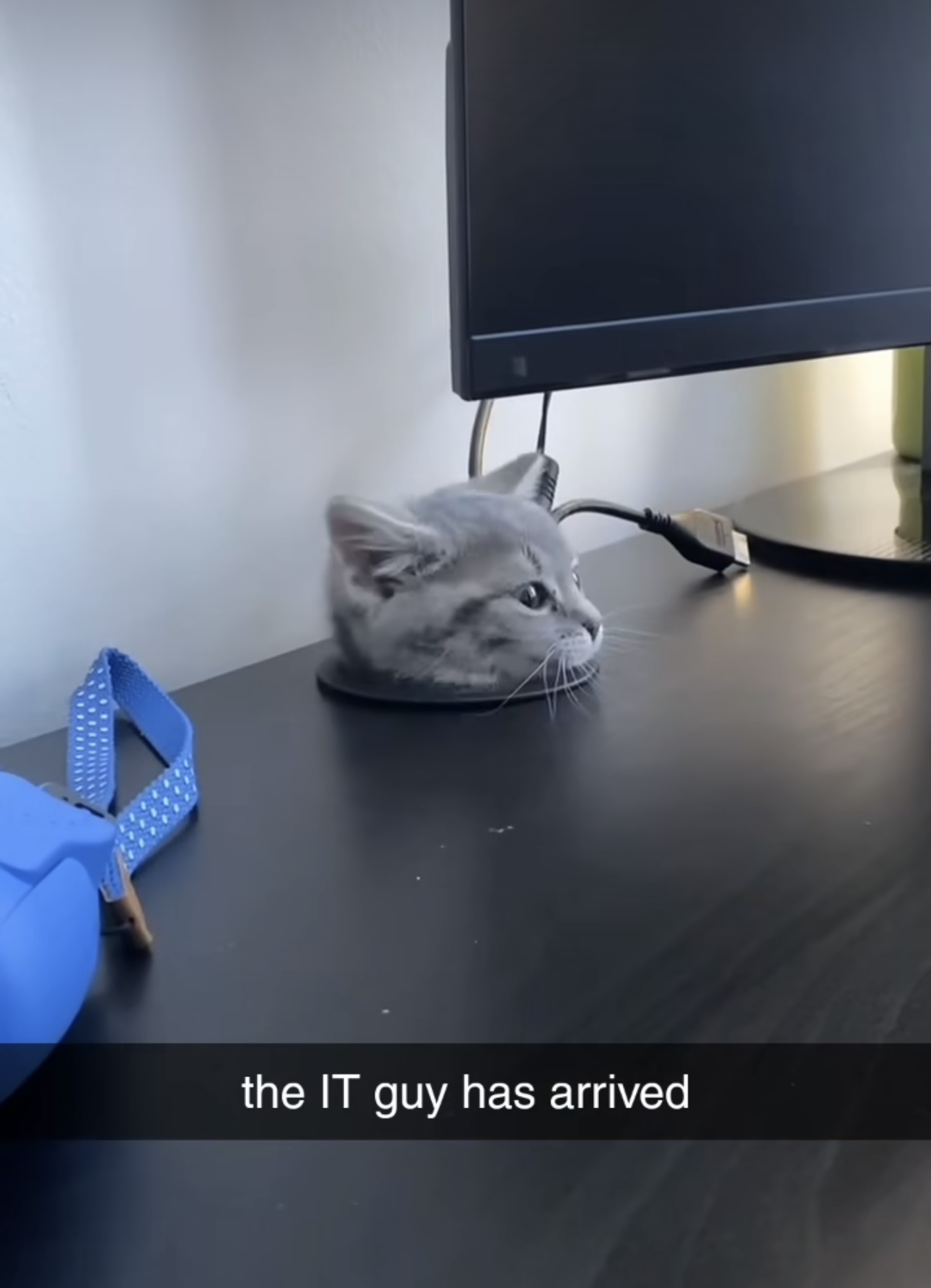 1725677530334