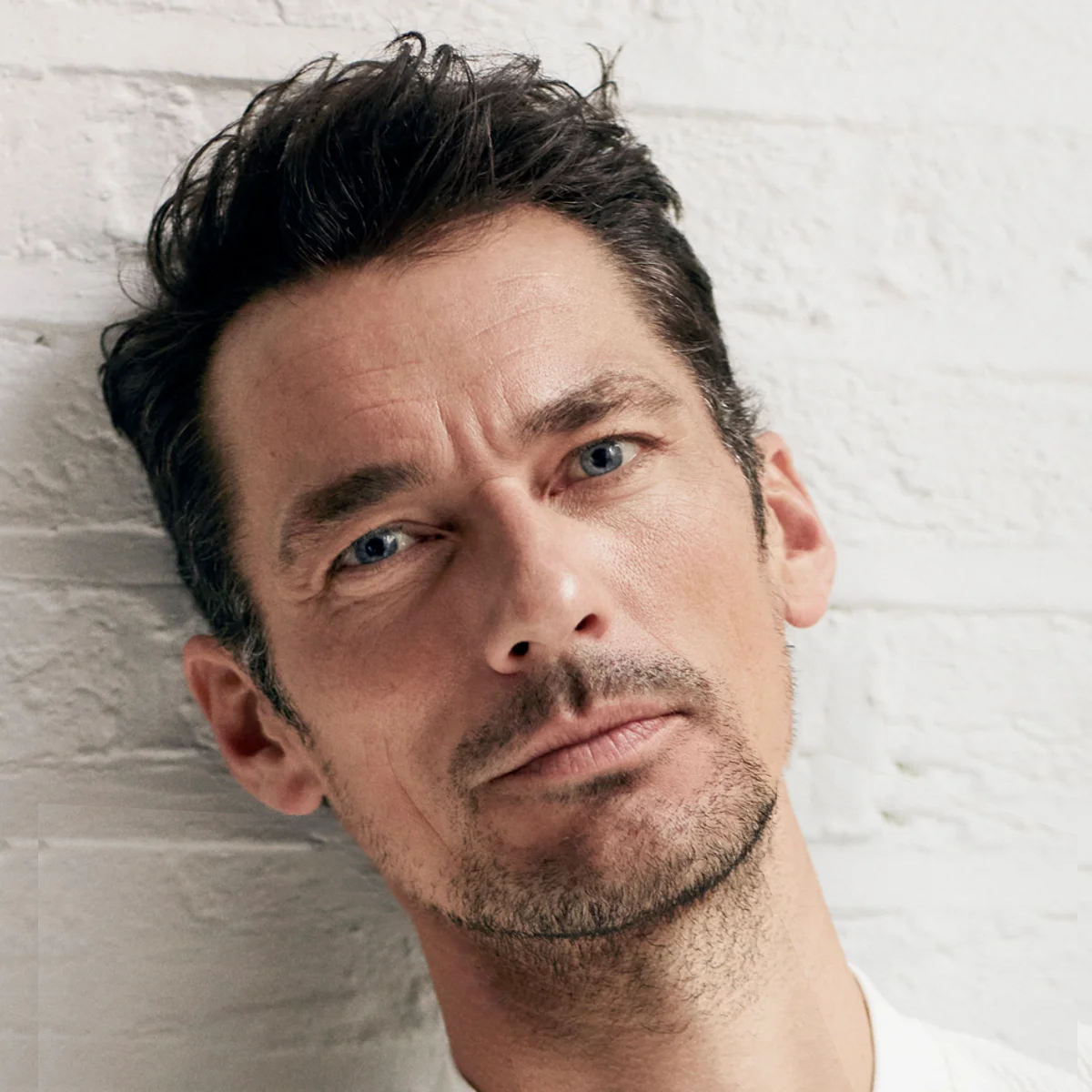 David gaydy