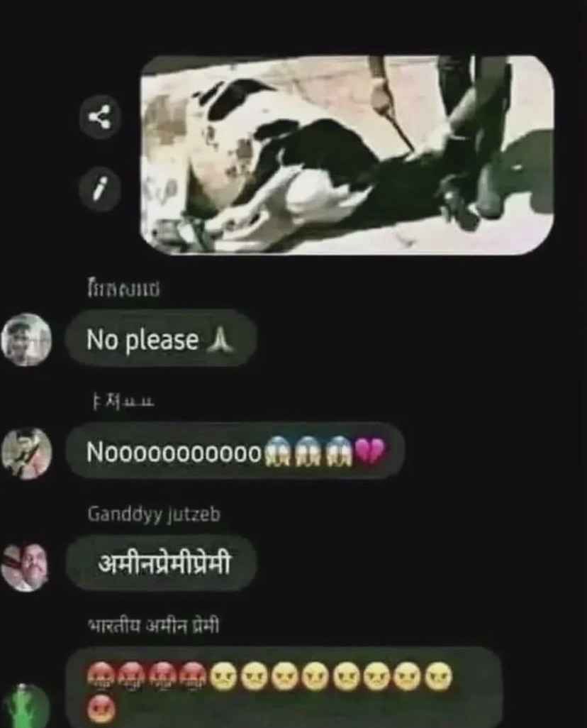 1000017934