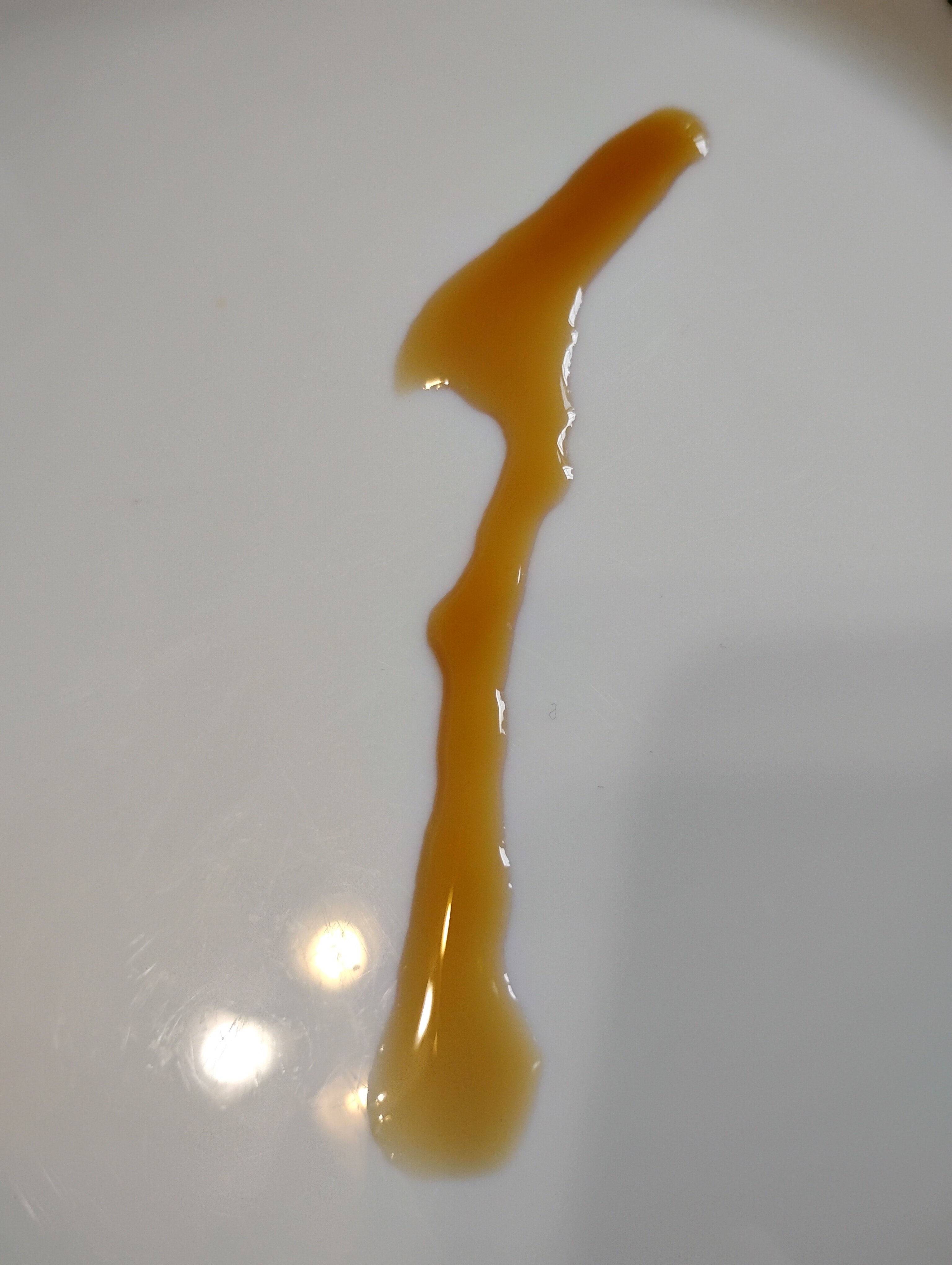 IMG 20240907 171905594