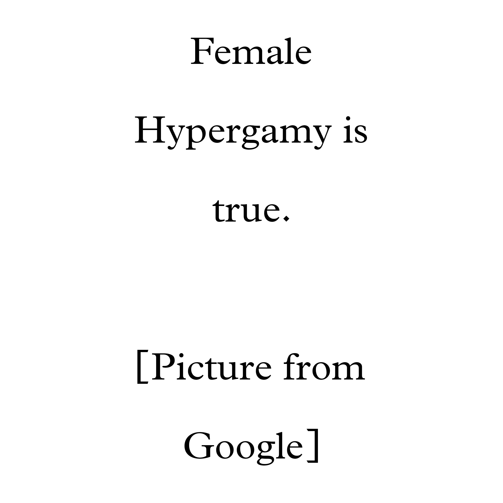 Picsart 24 09 08 09 49 43 636