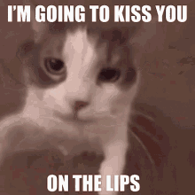 Im going to kiss you on the lips