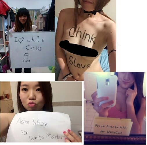 3061493 9CD66FF8 BC13 4A73 941D 96E9F804F5D5