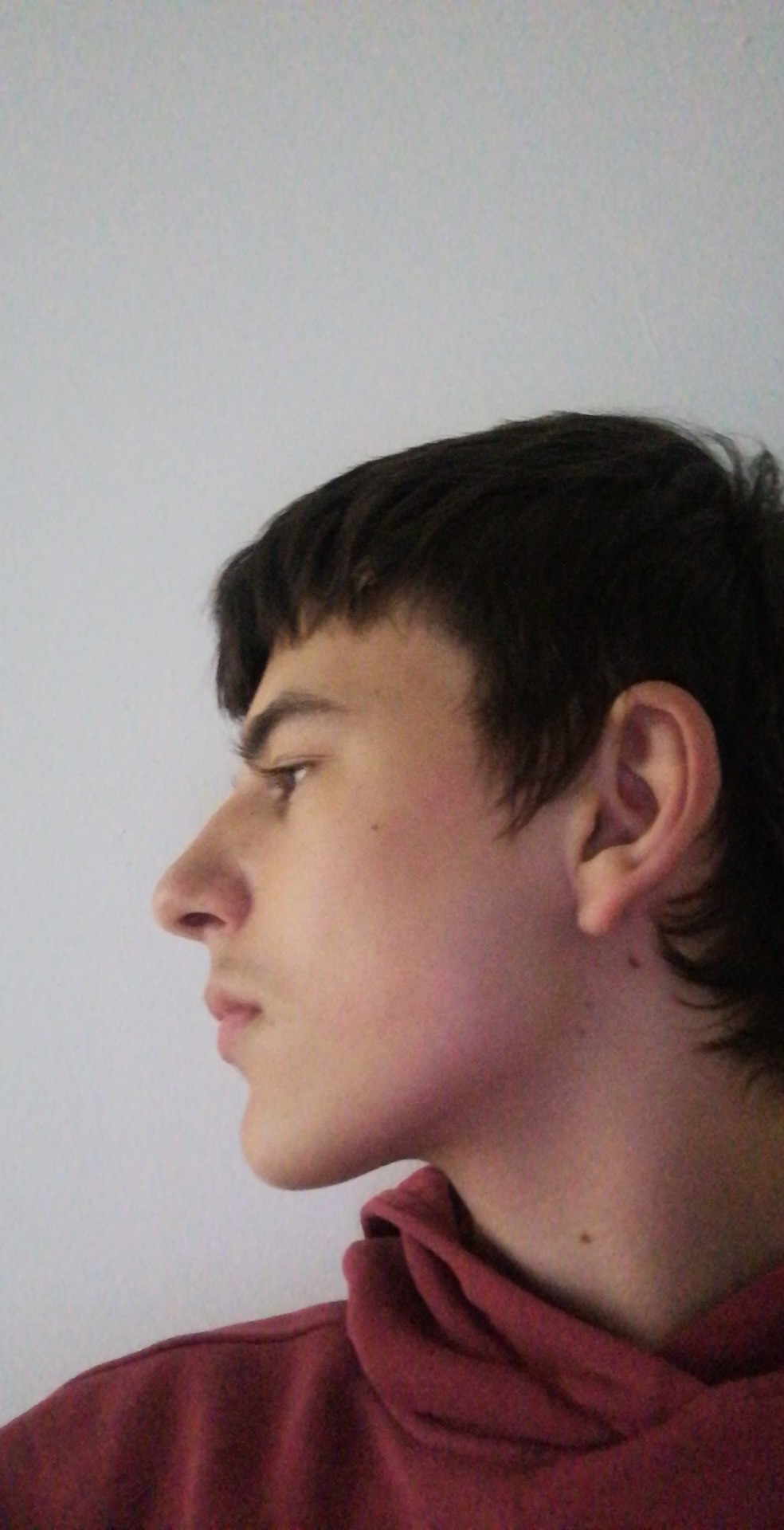 44b2504a a256 4dc8 8a32 69d6daf679c8photo