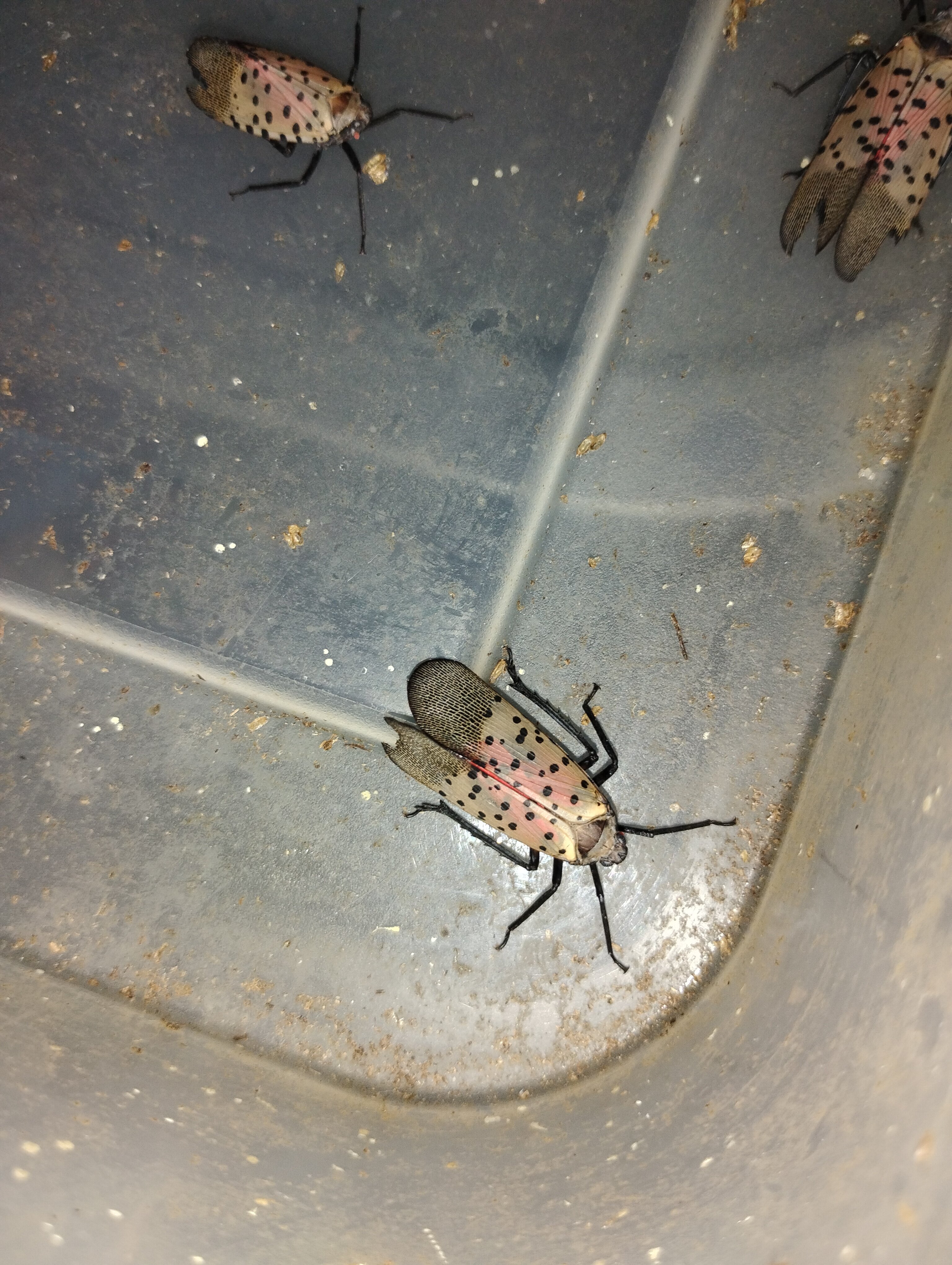 IMG 20240910 170654796