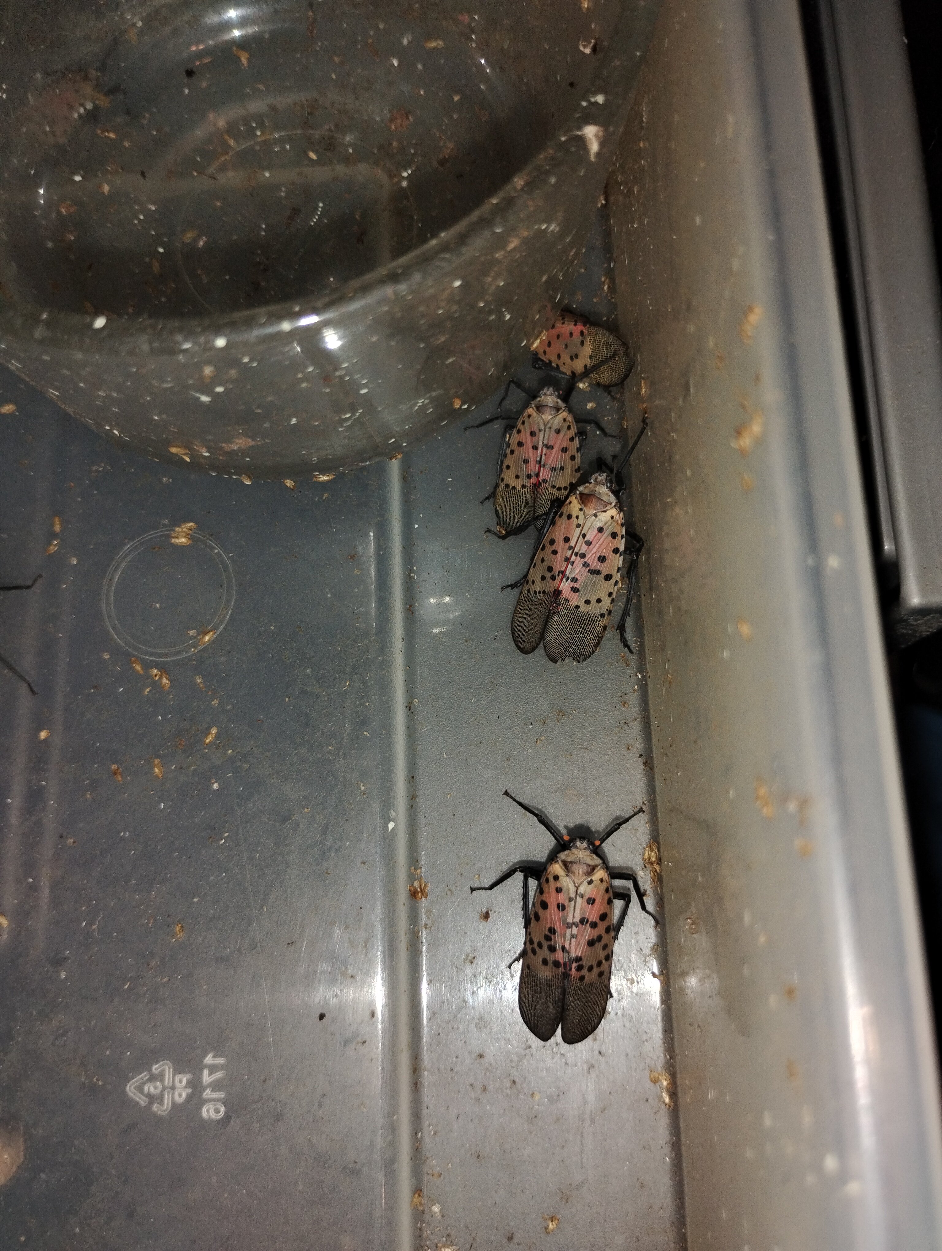 IMG 20240910 170643983