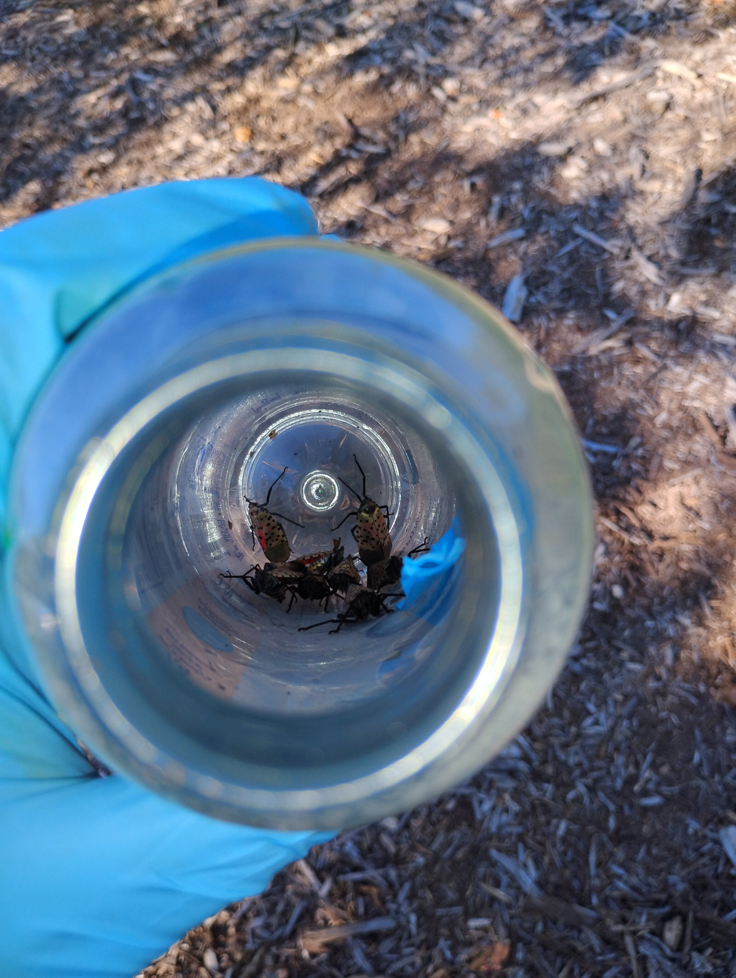 IMG 20240910 164016542