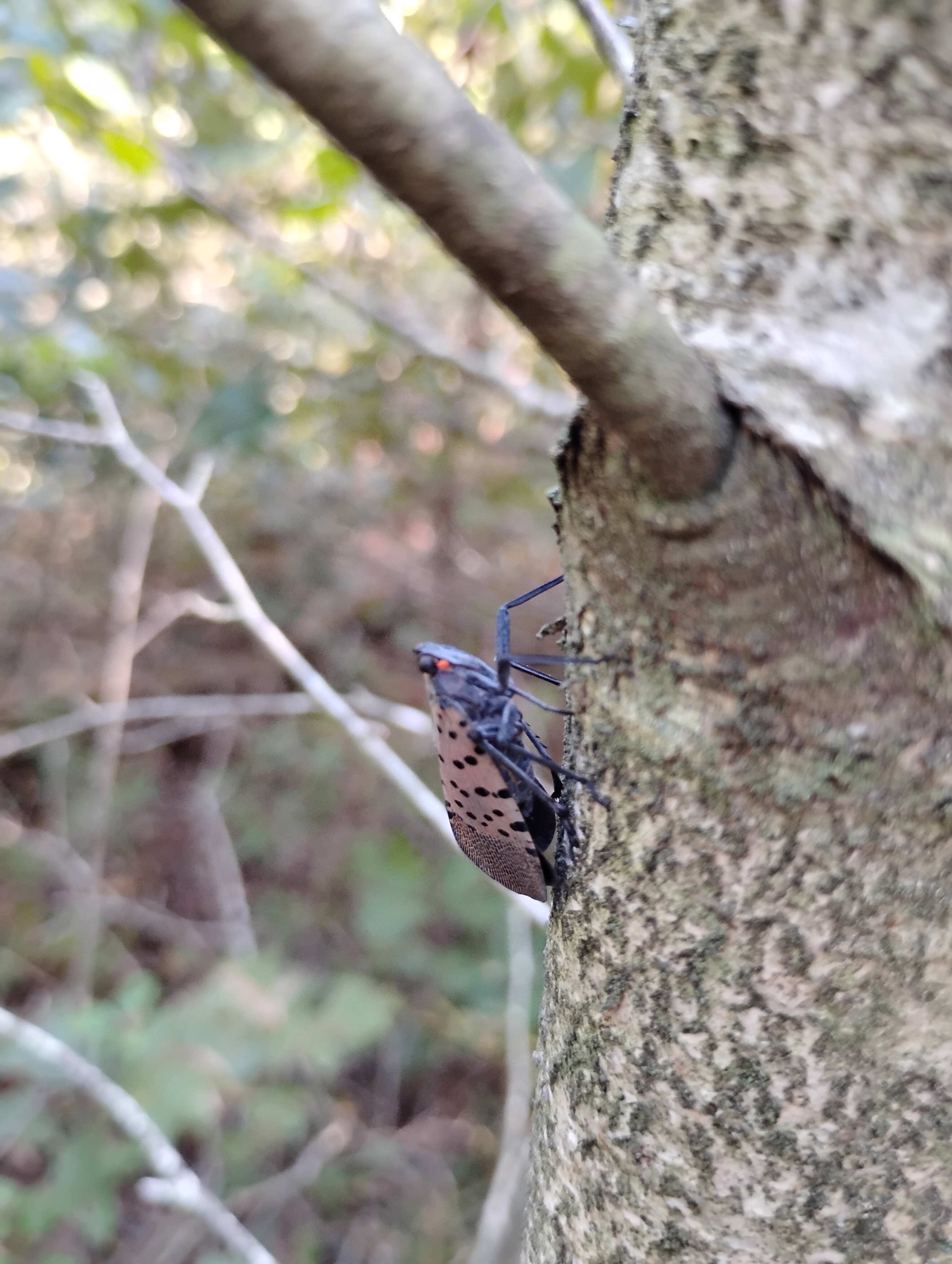 IMG 20240909 170330831