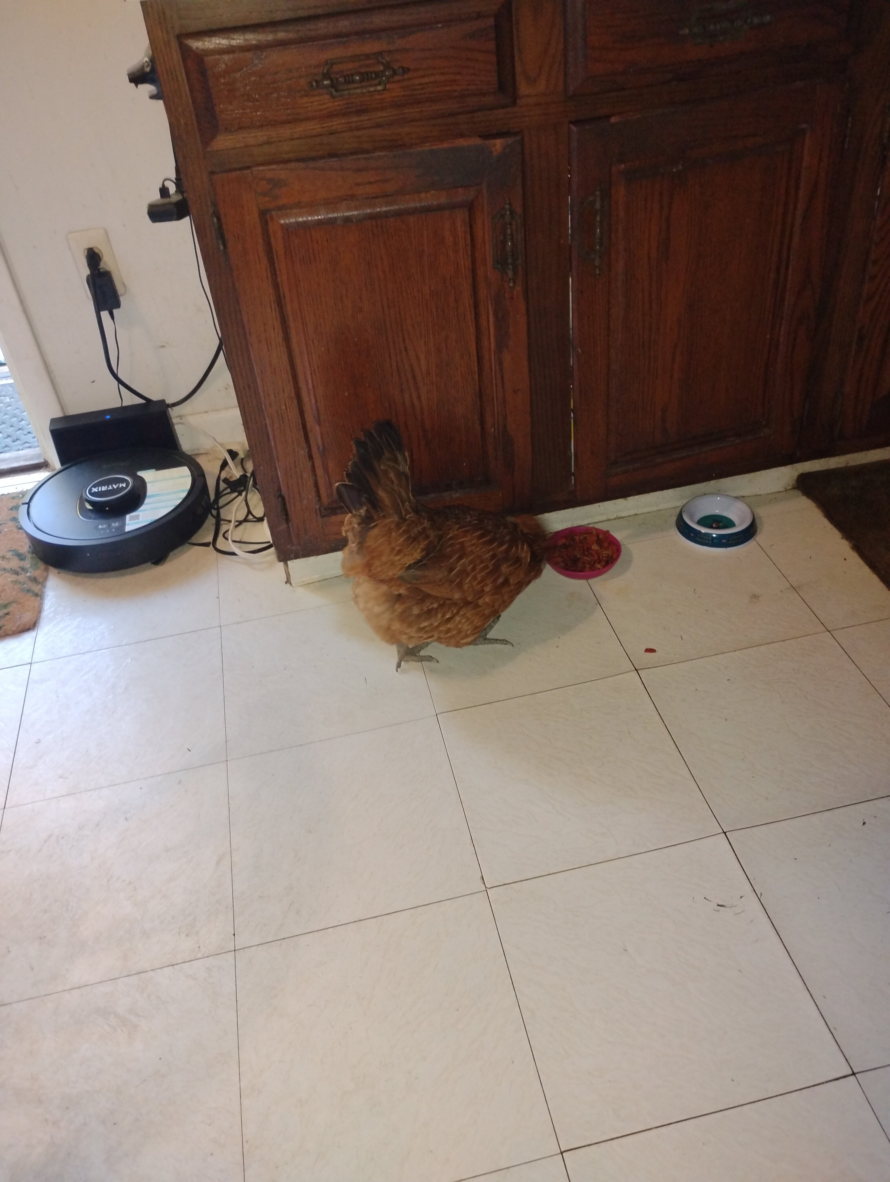 IMG 20240910 171452689