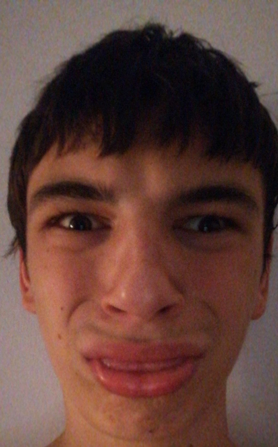 Orca image  1615440421