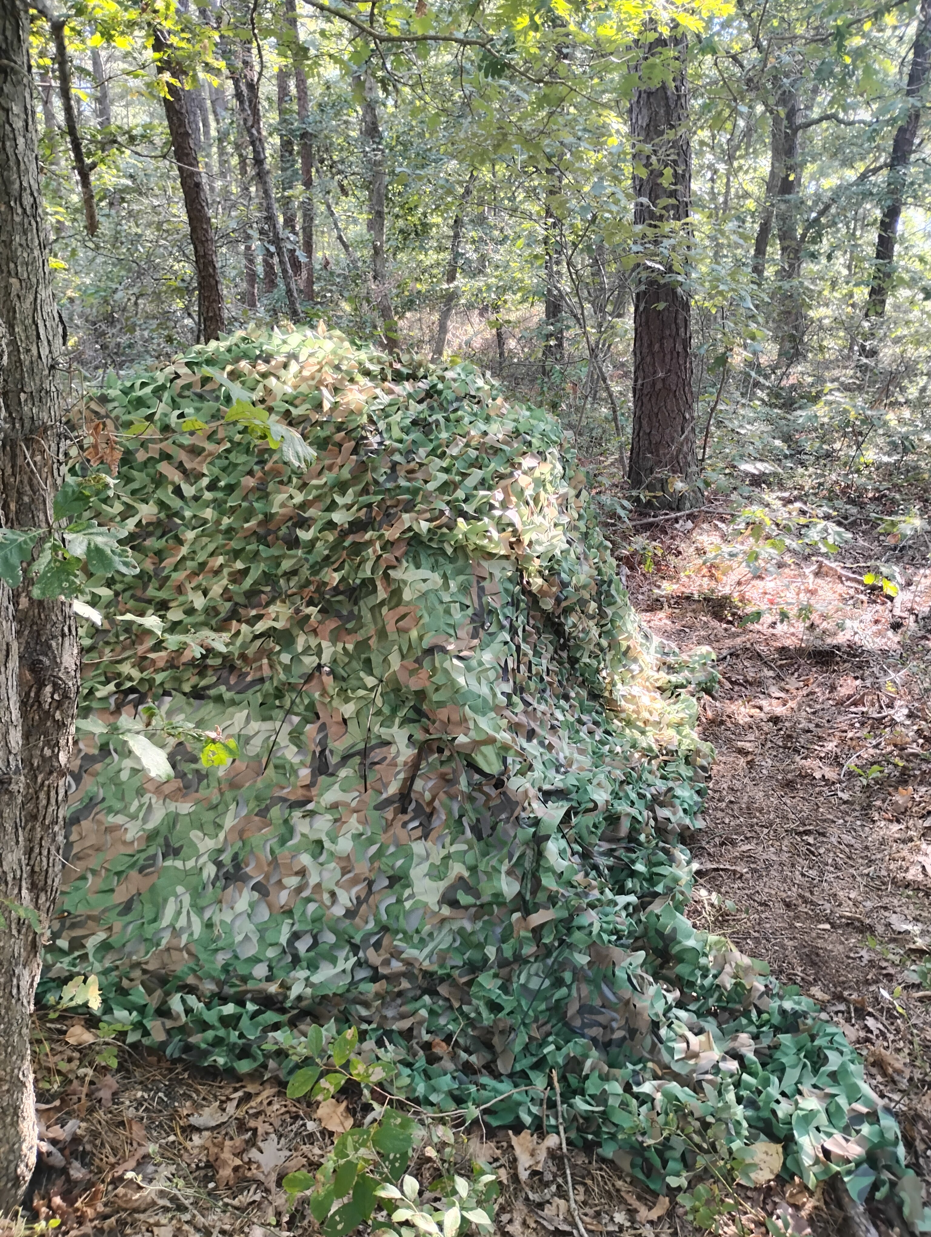 IMG 20240911 161922097 HDR