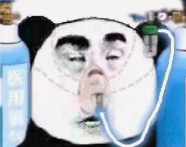 1000017385