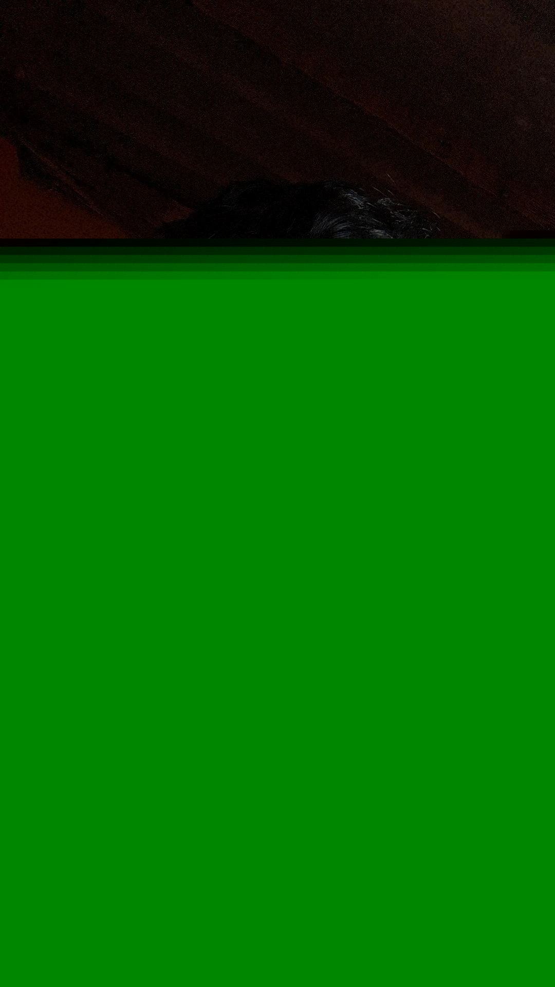 1000013696