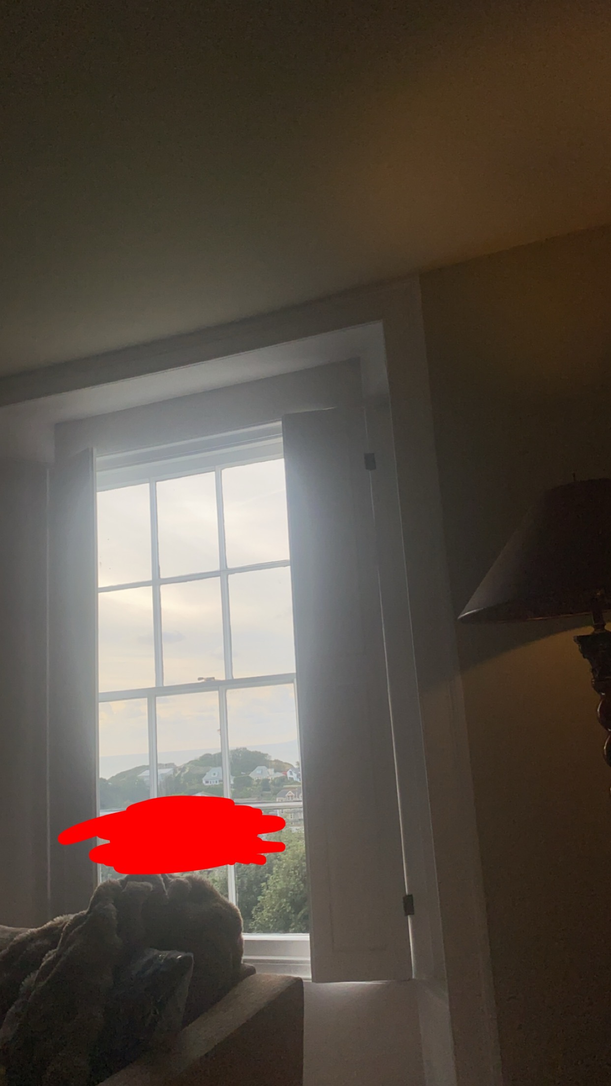 IMG 1021