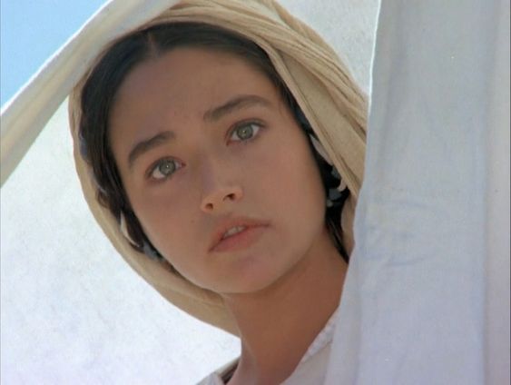 04a9ca27ac2ef0288f82e57c847fb9cd