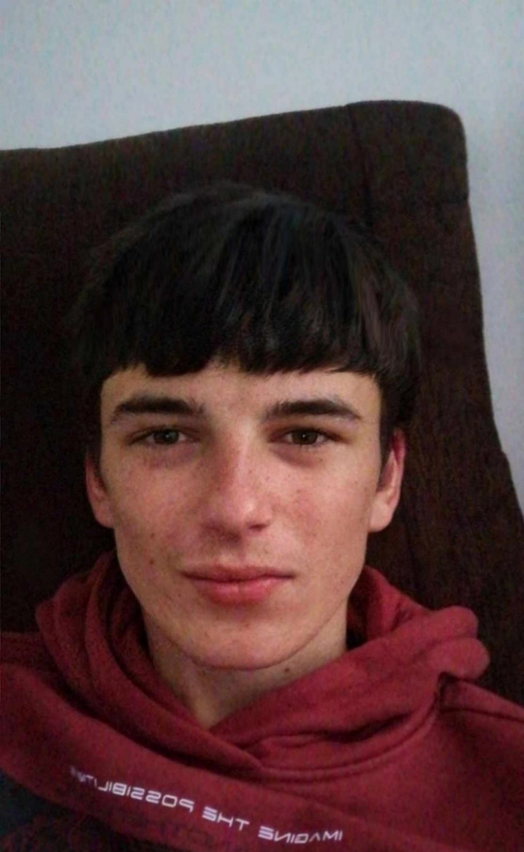 Orca image  476209407