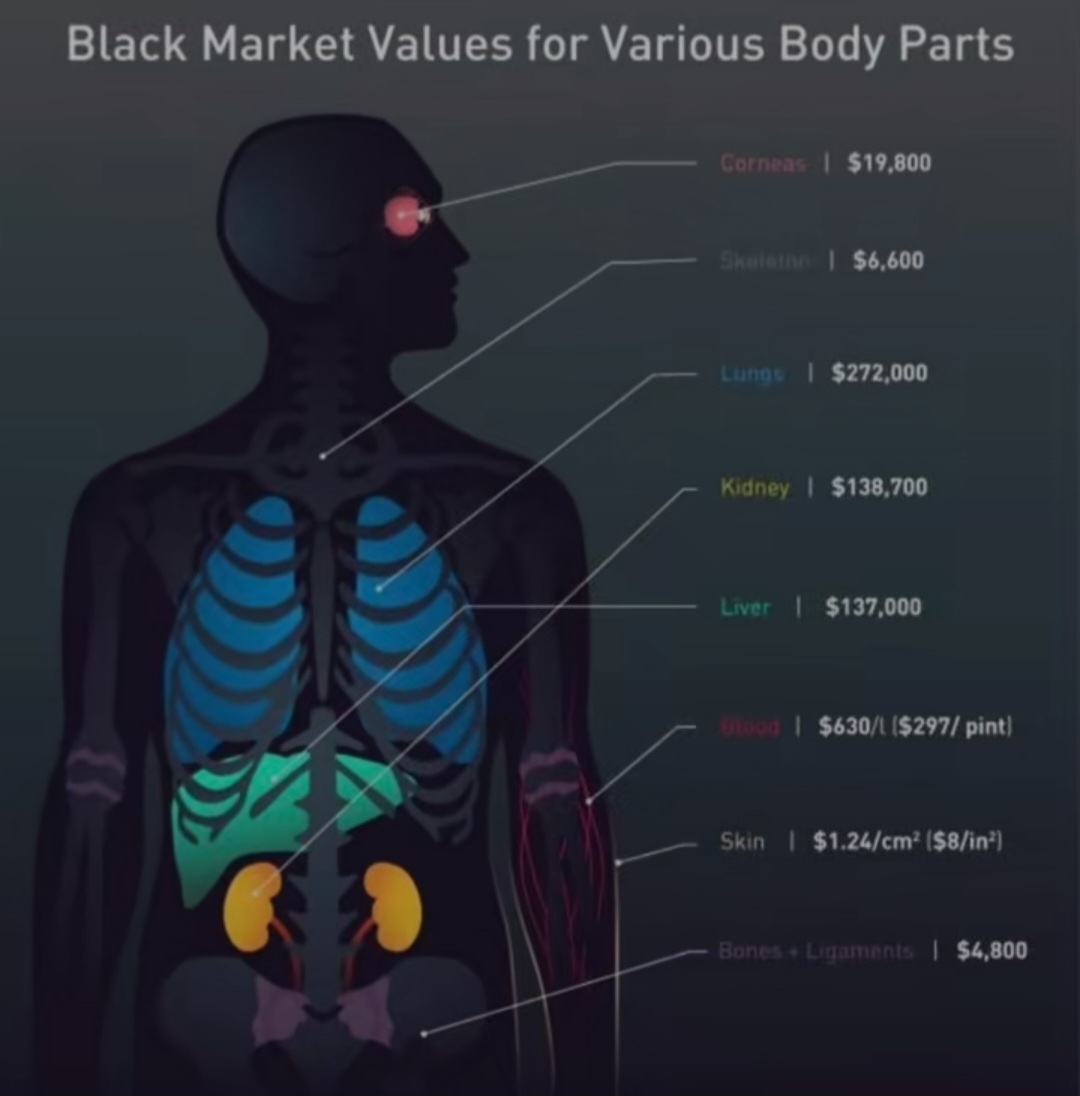 Screenshot 20240518 001716 TikTok