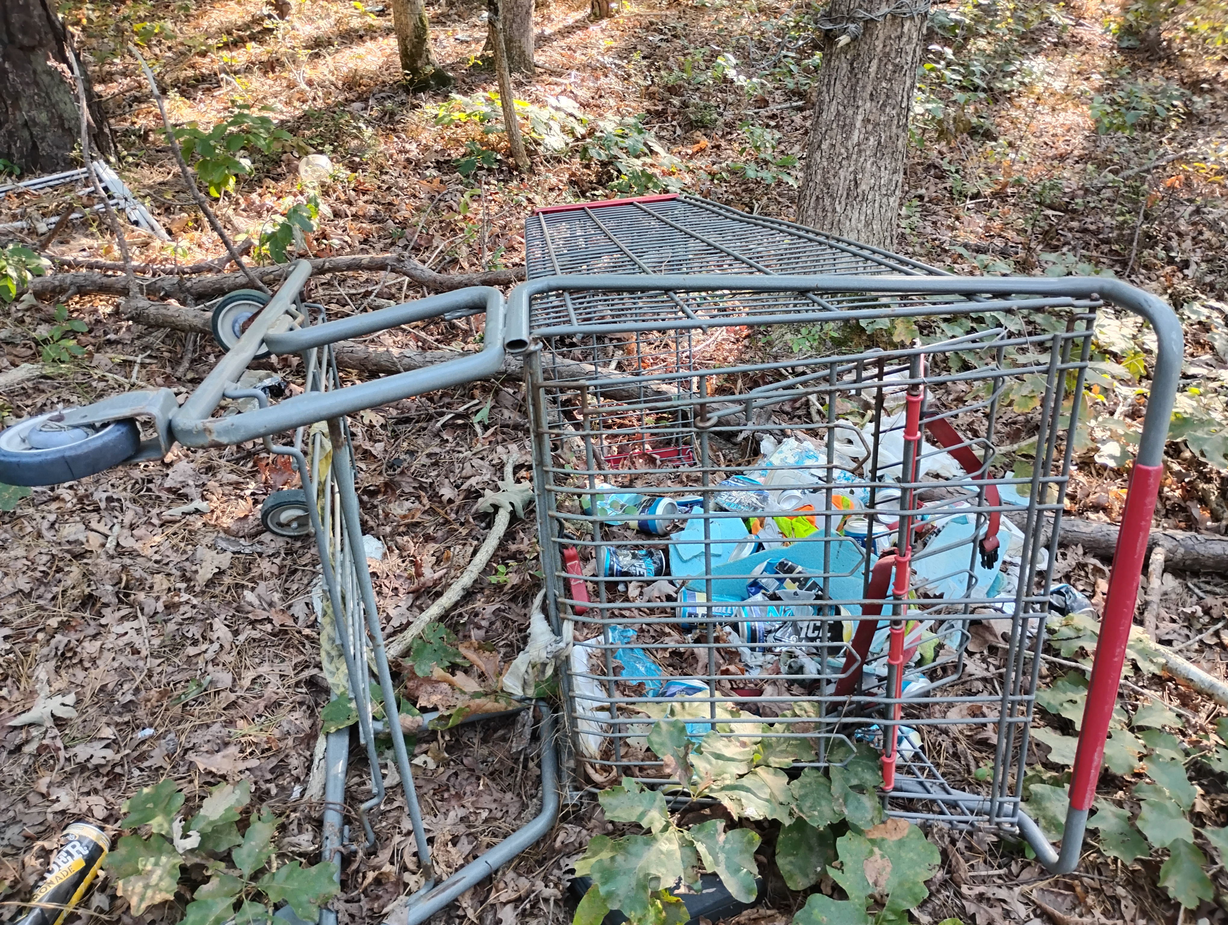 IMG 20240910 163314417 HDR