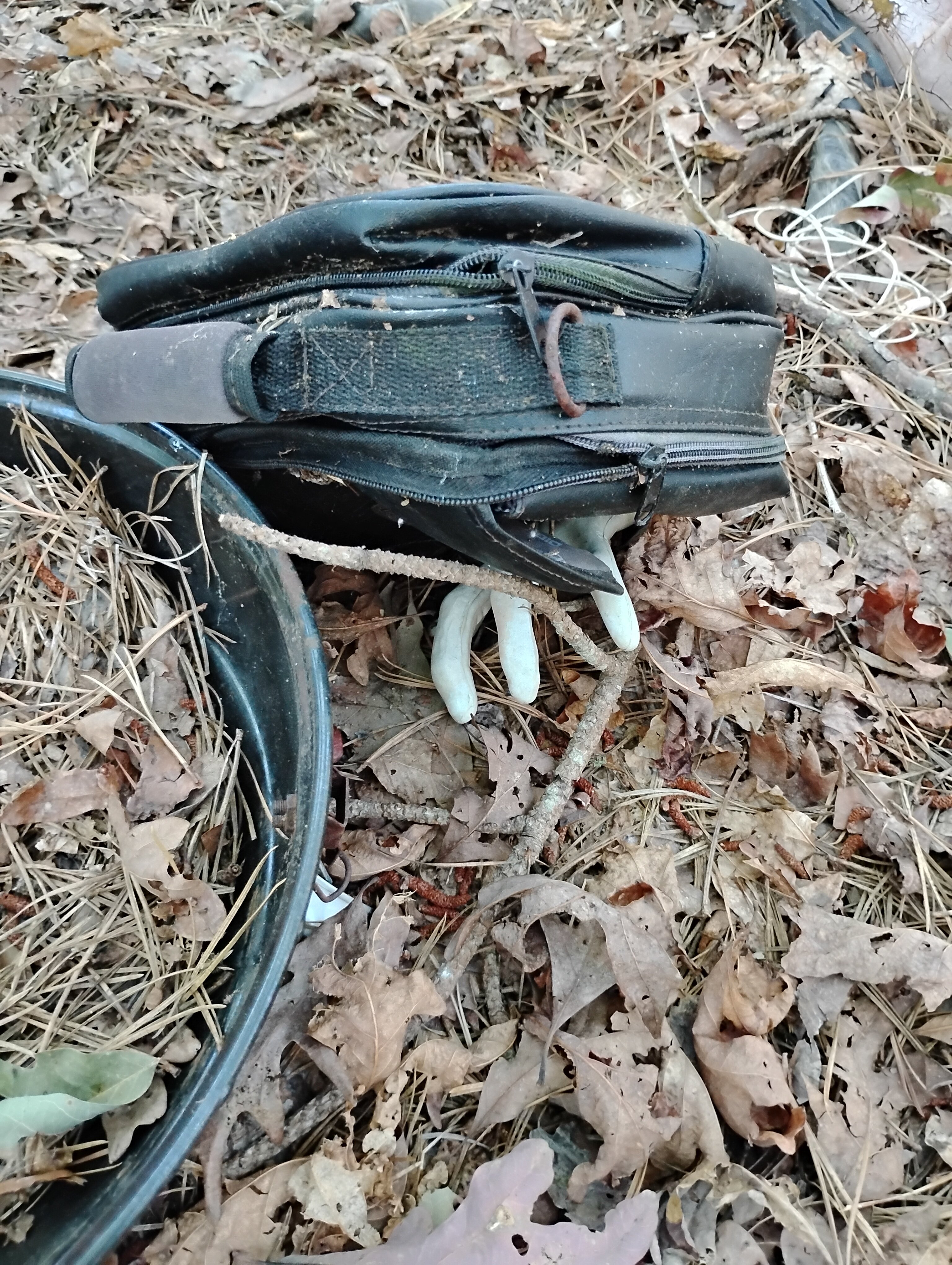 IMG 20240910 163602303