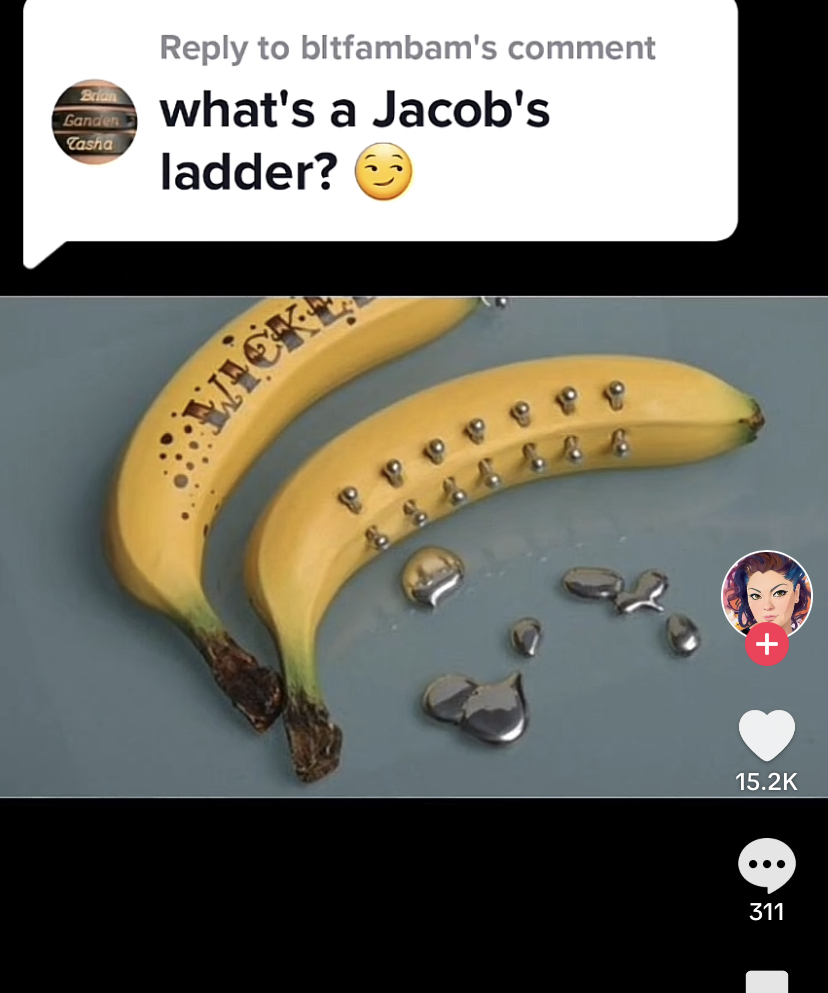 571B7B19 FB17 46E6 A185 68C0C405B20F