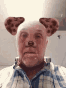 Filter dog