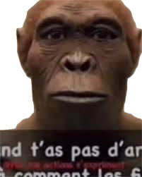 1726531331910