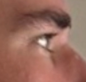 IMG 3343 IMG 3343