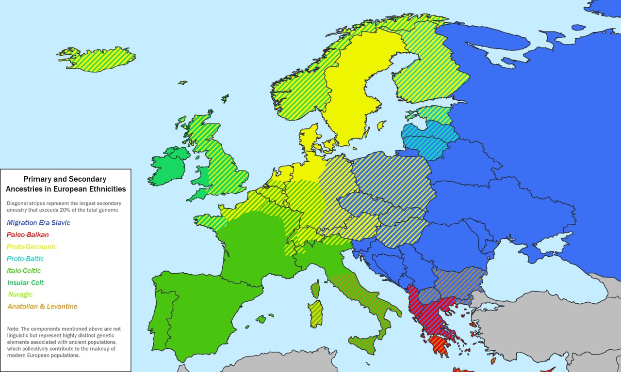 True European True ethnicity of European nations | Looksmax.org - Men's Self ...