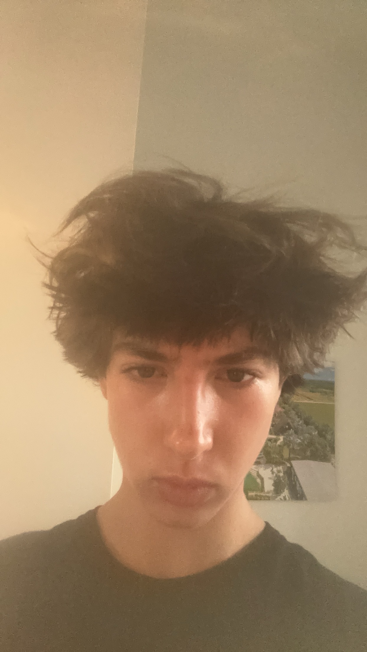 IMG 0796