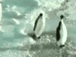 1714894812686e