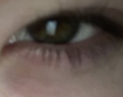 1 1