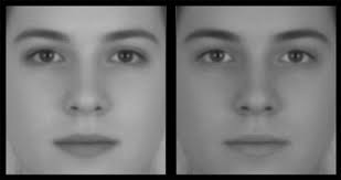 4229278 4184005 images