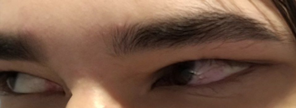 IMG 20240921 021726 317 IMG 20240921 021726 317