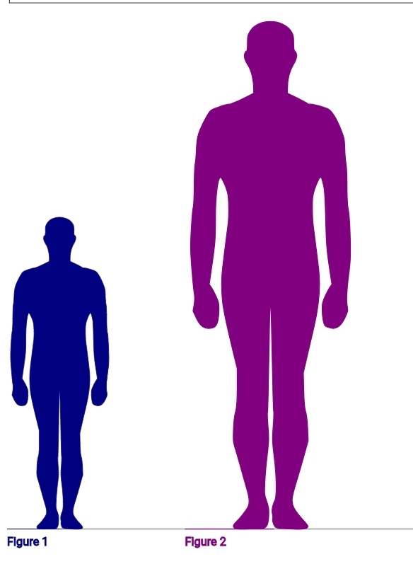 Screenshot 20240921 135540 Chrome