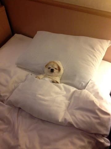 09a058b0fd321e380beefcf6b972f3d8