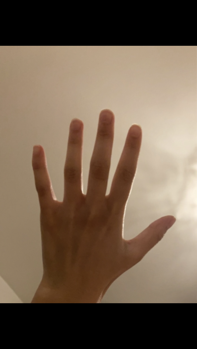 IMG 7178