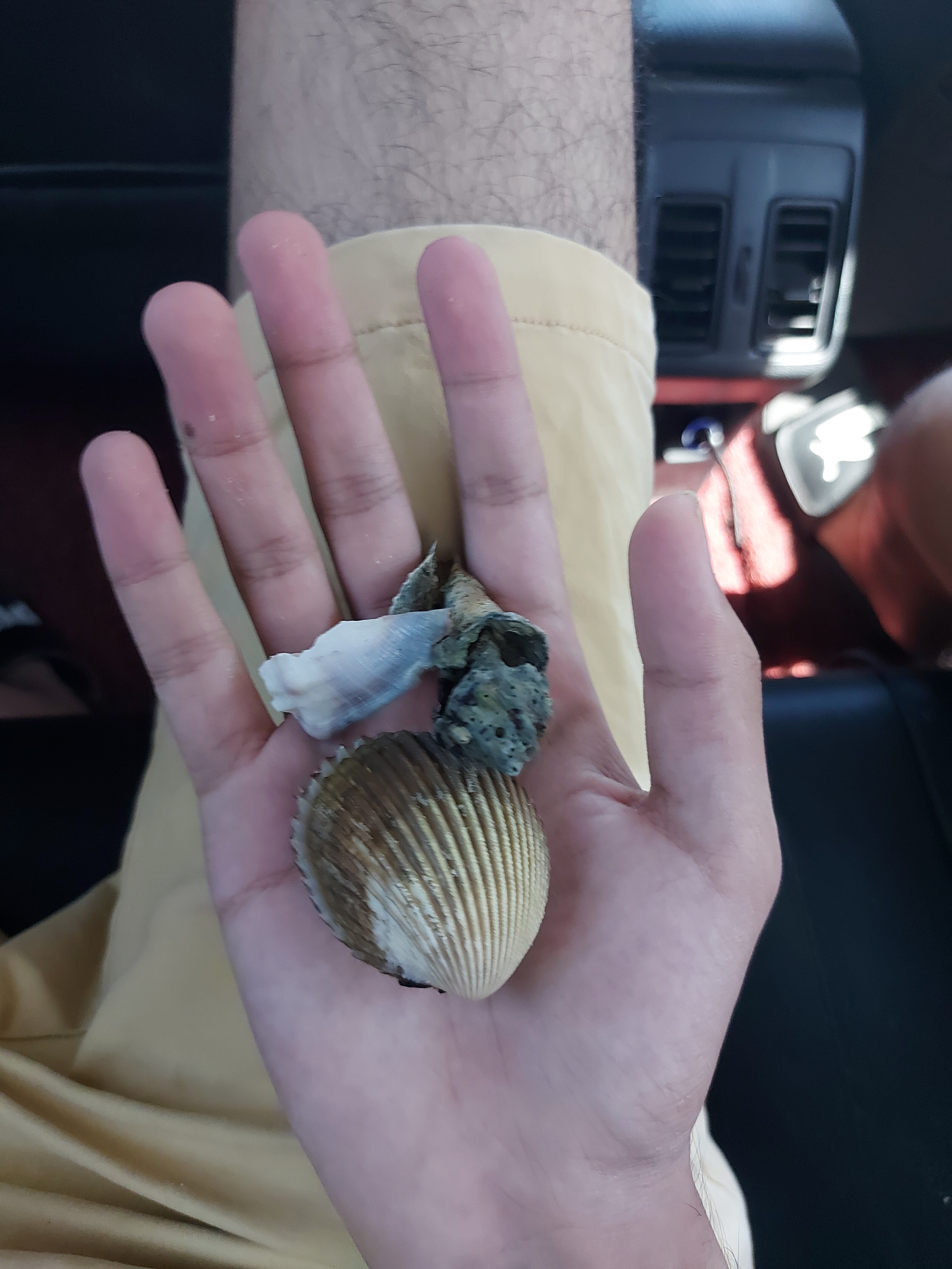 20240922 154903 20240922 154903