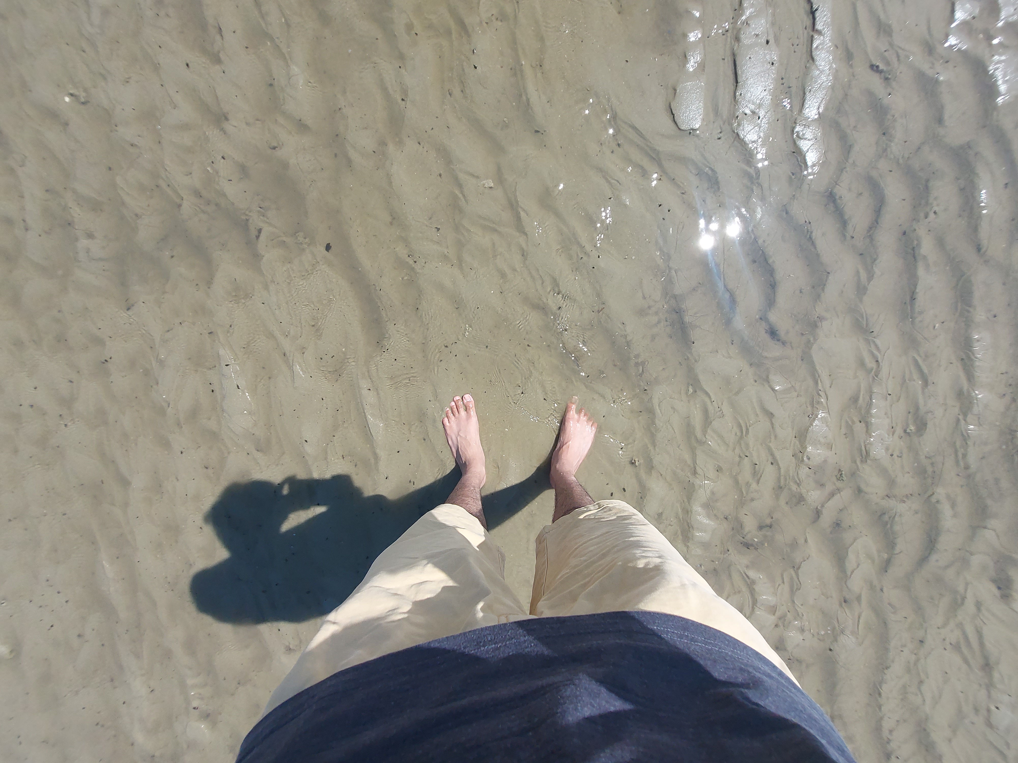 20240922 151219 20240922 151219