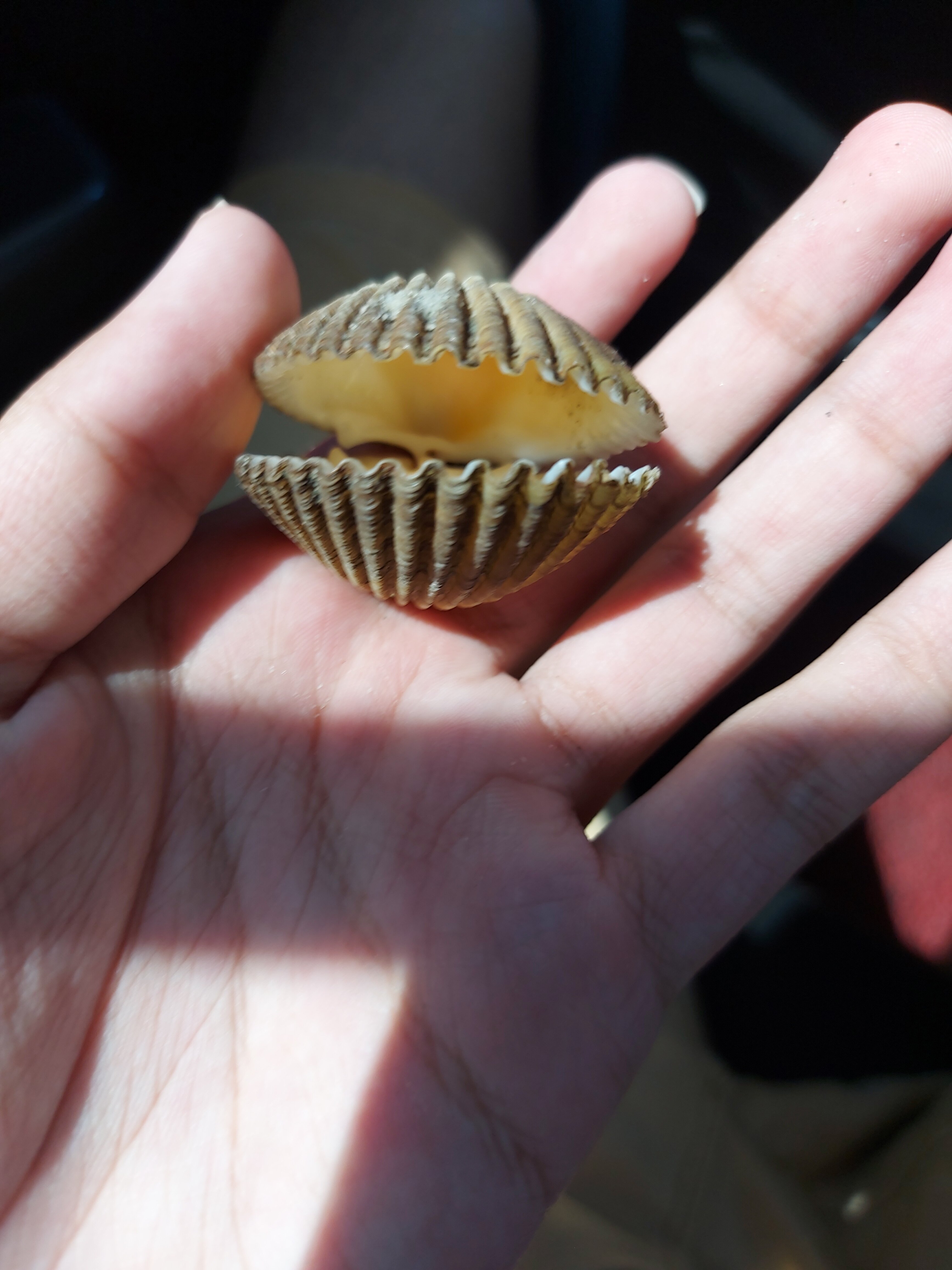 20240922 155350 20240922 155350