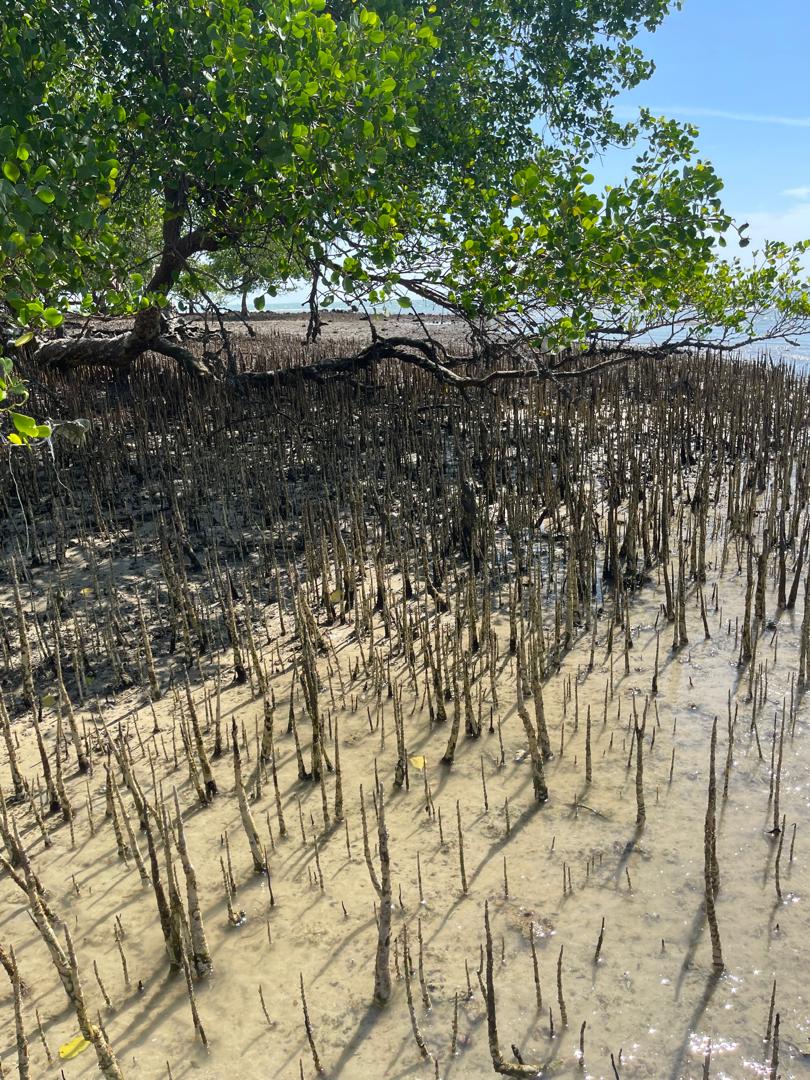 IMG 20240922 WA0018 IMG 20240922 WA0018