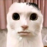95394