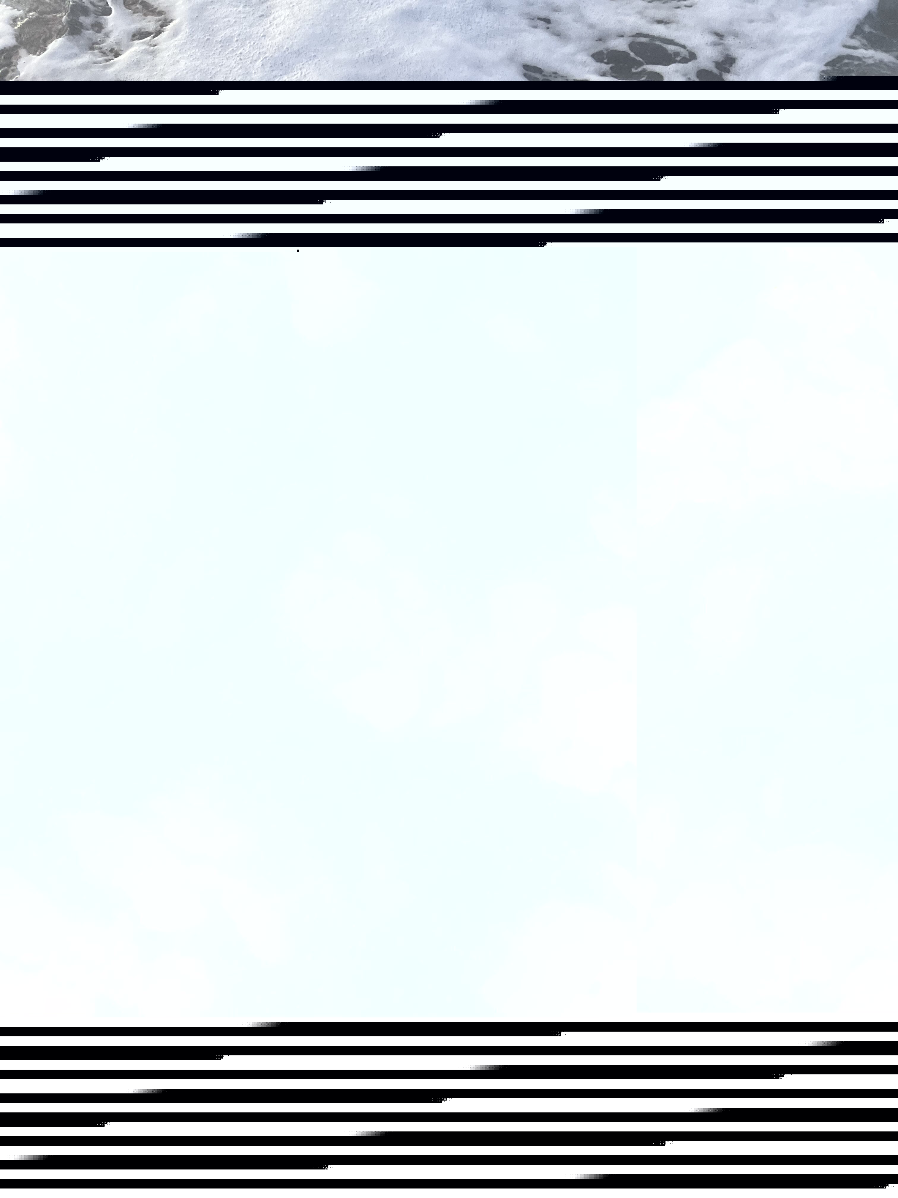 IMG 0216