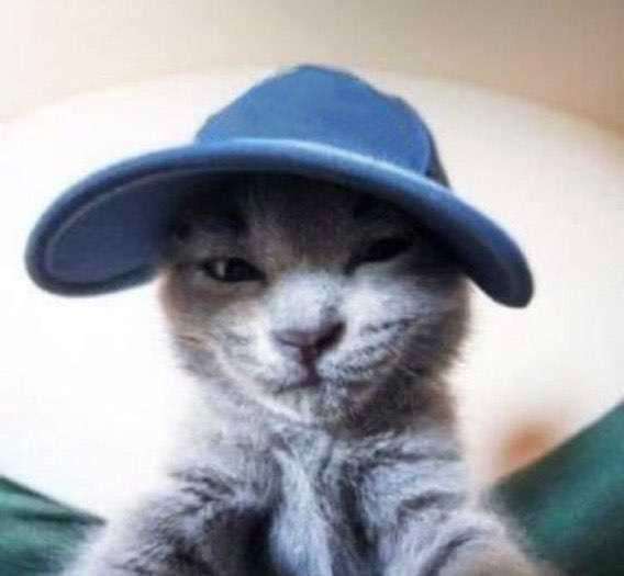 IMG 20221102 100853 264