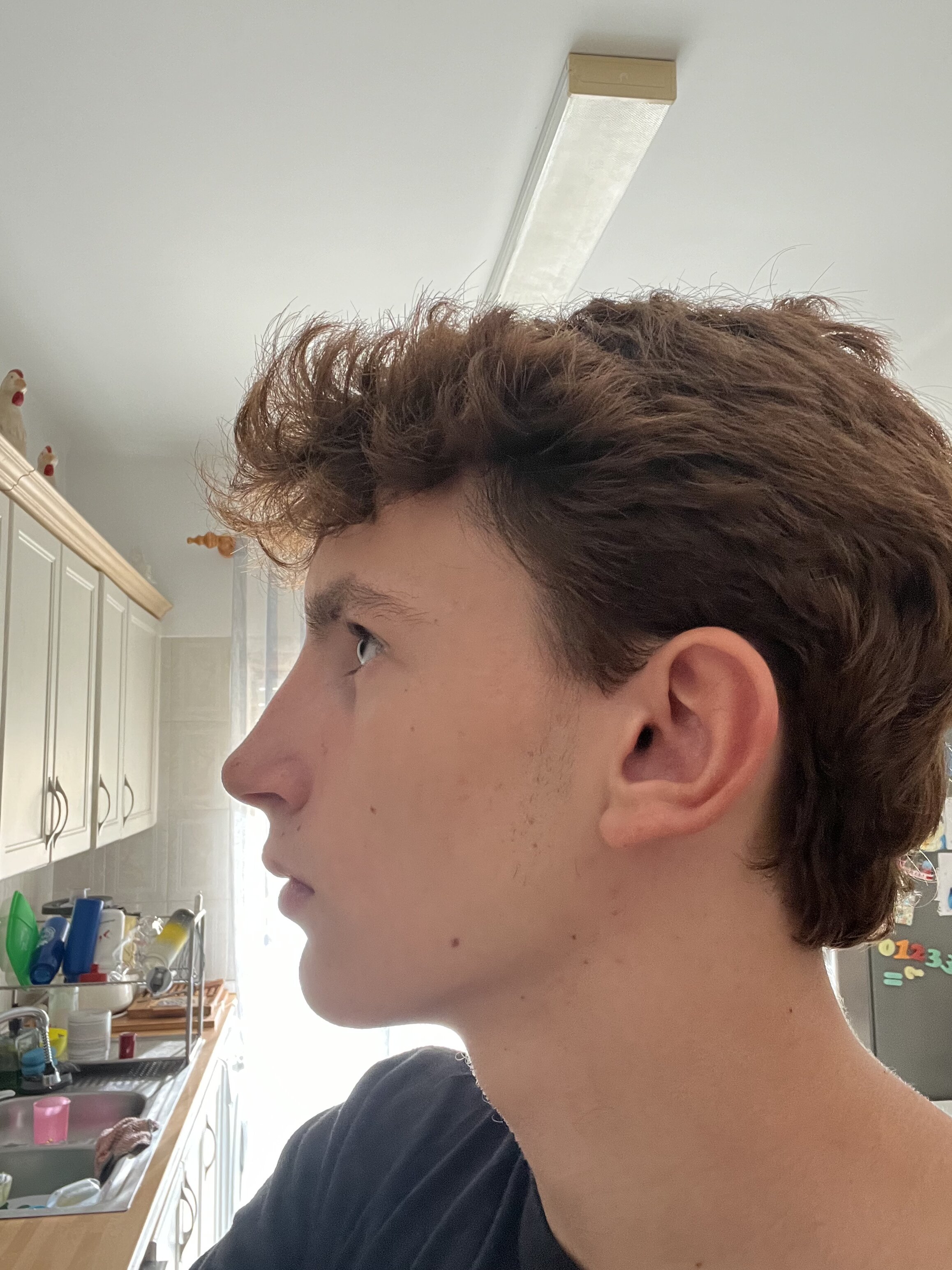 IMG 1036