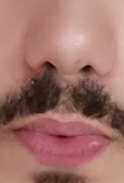 Screen Shot 2024 09 23 at 65950 PM