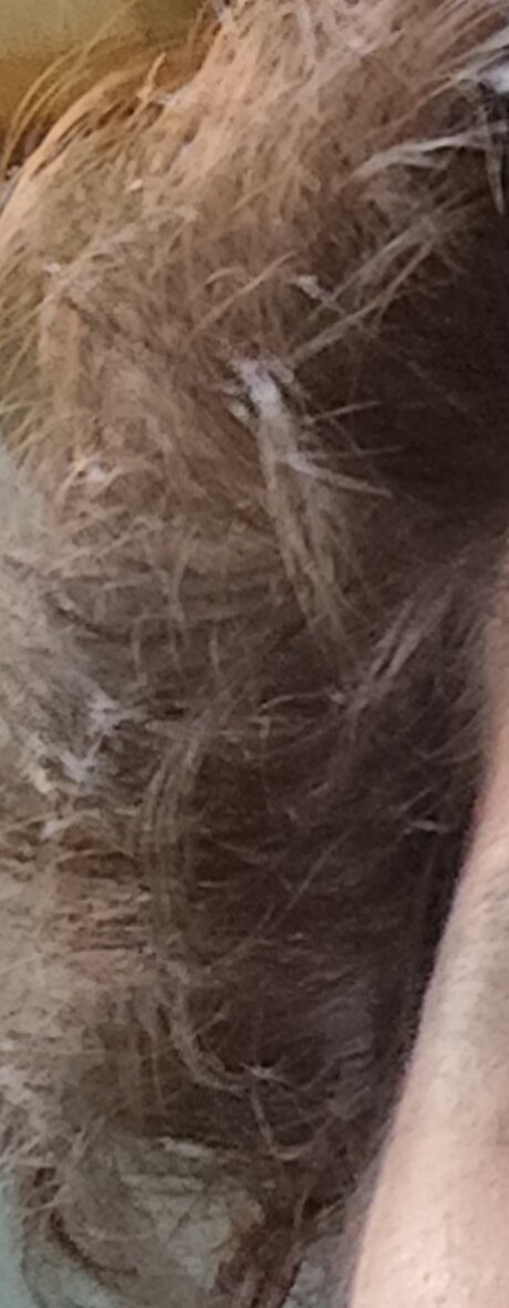 4406953 IMG 20240923 160950